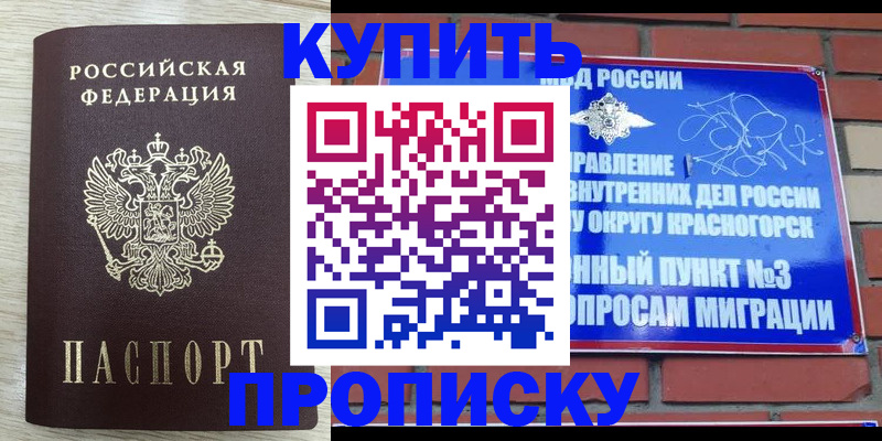 прописка гарантия в Моздоке